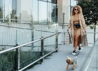 愛犬とお出かけ!必要な持ち物BEST5! 犬まとめ,犬,お出かけ