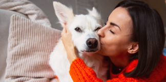 犬好きさんあるある!愛犬家度チェック! 犬,愛犬,愛犬家