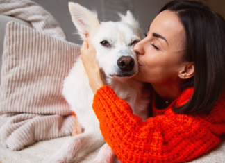 犬好きさんあるある!愛犬家度チェック! 犬,愛犬,愛犬家