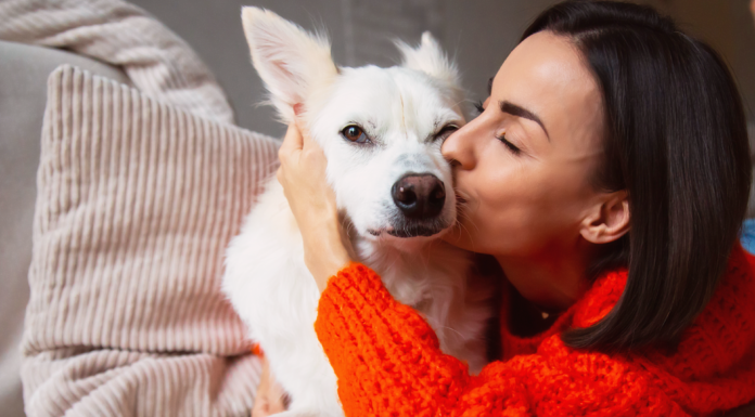 犬好きさんあるある!愛犬家度チェック! 犬,愛犬,愛犬家