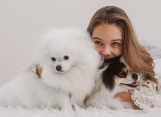 多頭飼いのメリット、デメリット-犬に囲まれて暮らしたい! 犬,多頭飼い