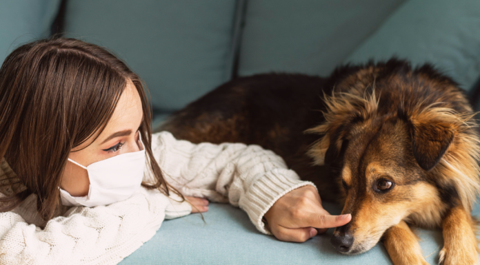 コロナ禍と愛すべき犬たち コロナ犬