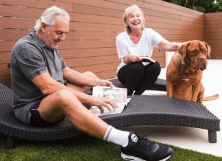 シニア犬を迎えよう! シニア犬,保護犬,メリット