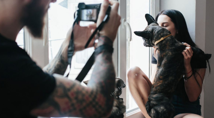 家族写真撮影レポート!@『二郎動物写真館』 犬まとめ,家族写真,