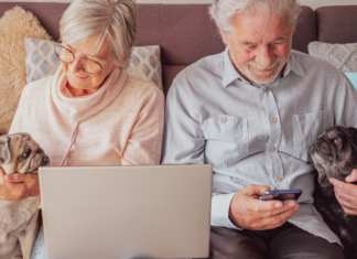 老犬ホームってしってる? 犬,老犬ホーム,介護