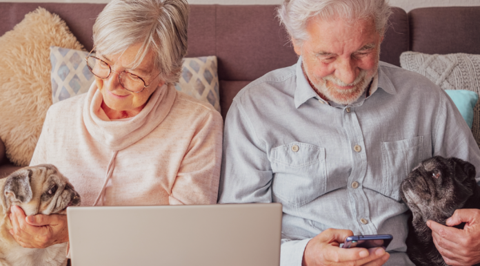 老犬ホームってしってる? 犬,老犬ホーム,介護