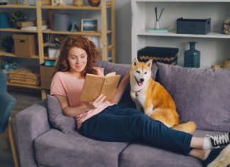 もう読んだ? おススメ犬漫画(芽萌編) 犬まとめ,犬,漫画,オススメ