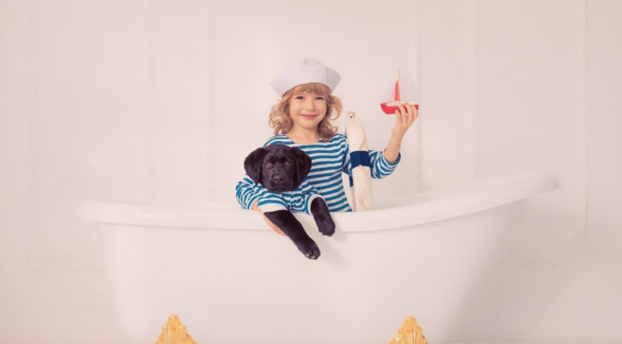 犬と船旅レポート♪〜前編〜 犬まとめ,船,犬と旅行