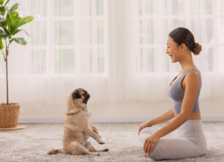 アニマルコミュニケーション体験談 犬まとめ,犬,アニマルコミニュケーション