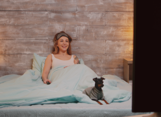 オススメ犬映画-芽萌編- 犬まとめ,犬,映画,オススメ