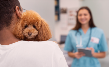 犬の避妊去勢手術について