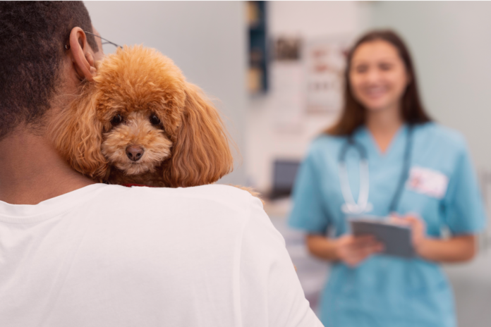 犬の避妊去勢手術について