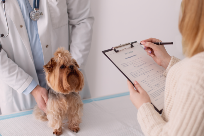 タイプ別動物病院の体験比較 犬まとめ,犬,動物病院,比較