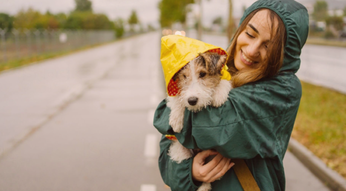外トイレ派は悪天候時どうしてる!? 犬まとめ,犬,雨,台風,,トイレ