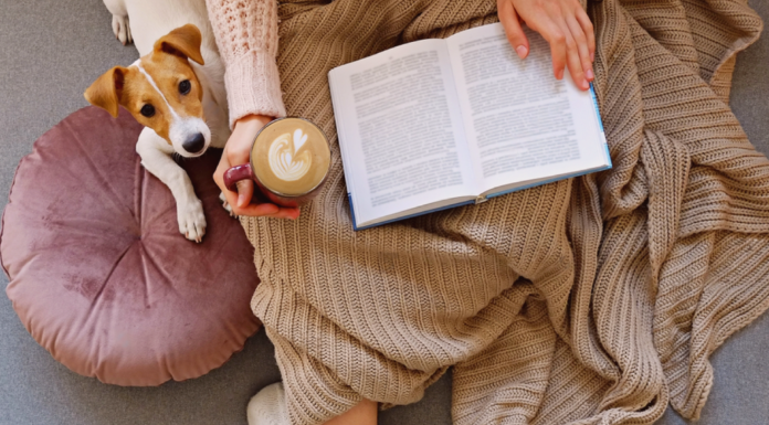 秋の夜長は読書!犬が出てくる小説・エッセイ本 犬まとめ,犬,本,エッセイ,読書
