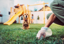 アナタだけじゃない!食糞しちゃう我が愛犬たち 犬まとめ,犬,食糞,うんち