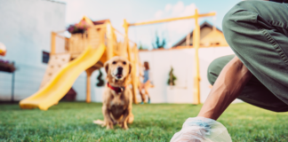 アナタだけじゃない!食糞しちゃう我が愛犬たち 犬まとめ,犬,食糞,うんち