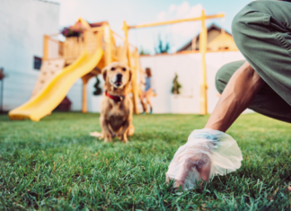 アナタだけじゃない!食糞しちゃう我が愛犬たち 犬まとめ,犬,食糞,うんち