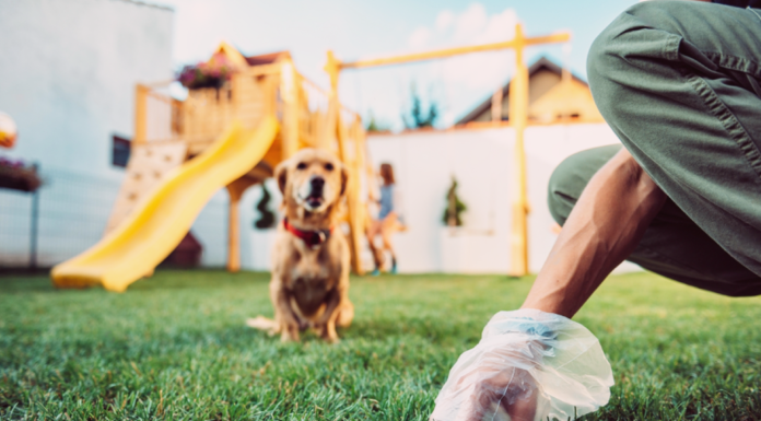 アナタだけじゃない!食糞しちゃう我が愛犬たち 犬まとめ,犬,食糞,うんち